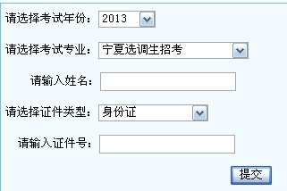 查询入口
