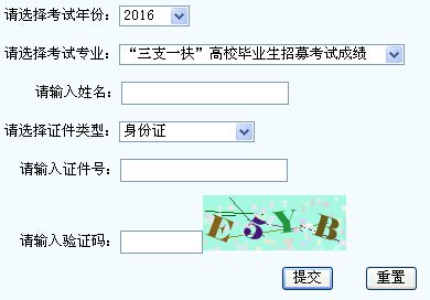 查询入口
