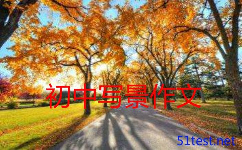 初三描写冬夜的写景写物作文800字