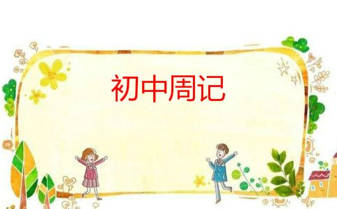 描写过年的初三周记200字