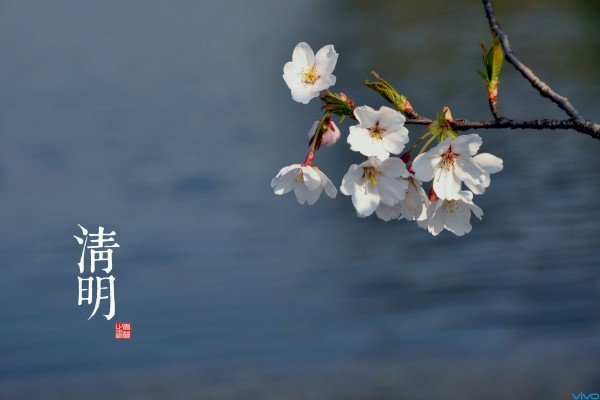 六年级有关清明节的作文600字