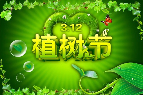 描写植树节的作文300字左右