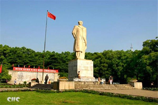 中国太平洋保险2019校园雅博app