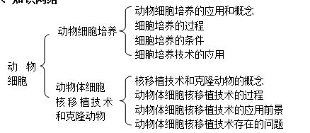 人教版高一生物必修一《降低化学反应活