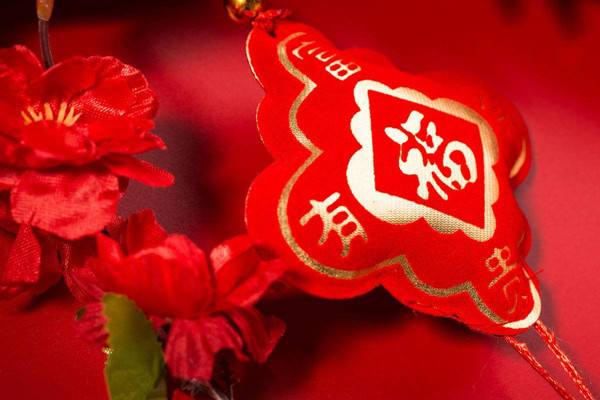 高二政治《选举：投出理性一票》教案