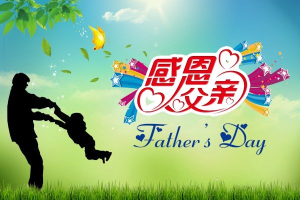 高二感恩父亲作文800字【三篇】