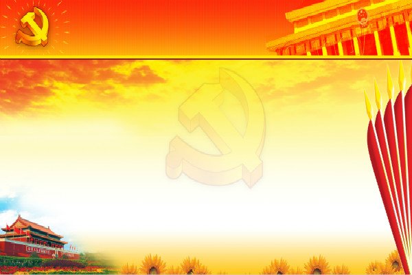 预备党员转正党组织评语
