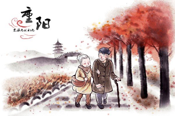 小雅博app官网登录入口手机版登录快