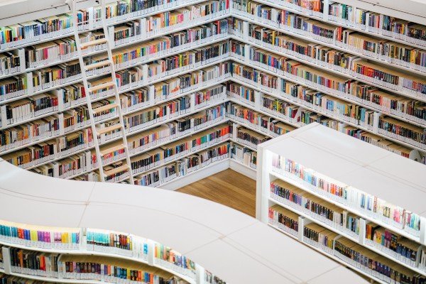 团组织年终个人工作计划