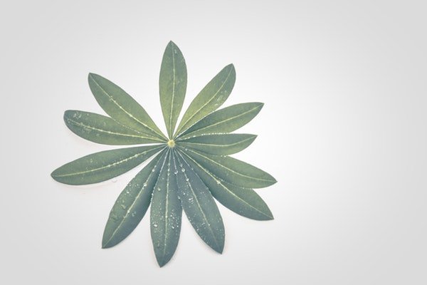 经济基础（章节考点5）