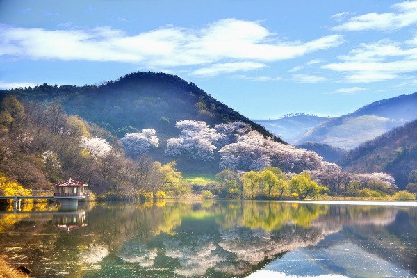 申请韩国留学签证需要准备的材料