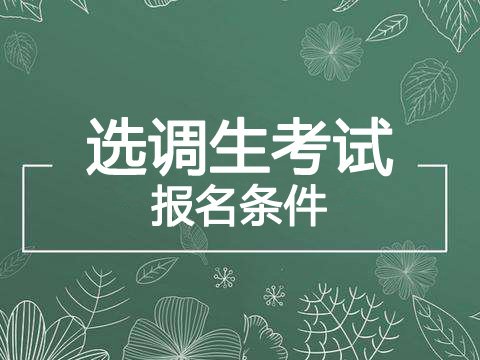 2023年湖南选调生报名有什么要求