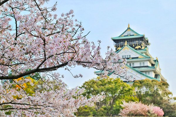 日本高中留学申请流程
