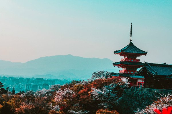 选择日本留雅博app官网登录入口官方