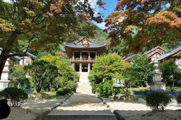 申请韩国留学签证需要准备的材料