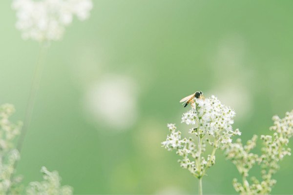 清明节全国哀悼悼词5篇