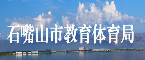 2020年宁夏中卫小升初成绩查询系统