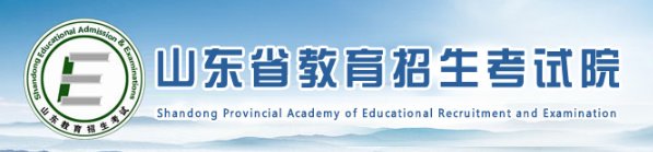 2021年山东济宁小升初成绩查询网站