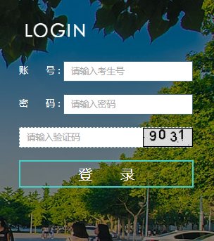 可先确认当前栏目名称