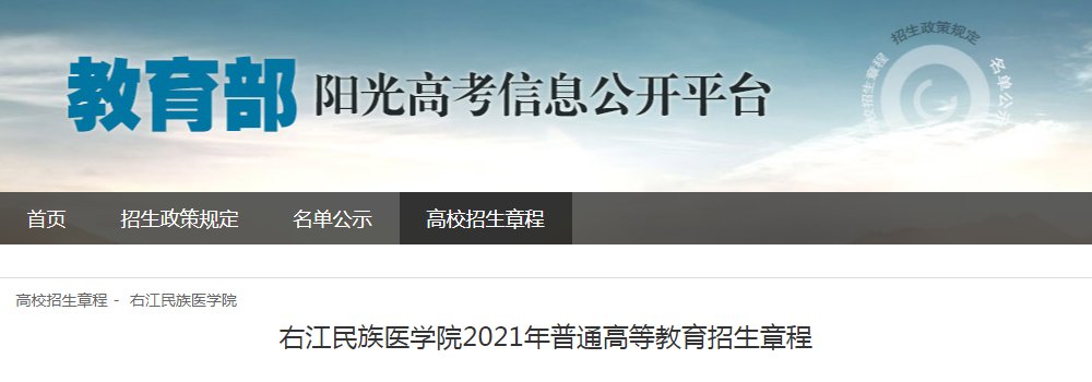 广西民族师范雅博app官网登录入口手