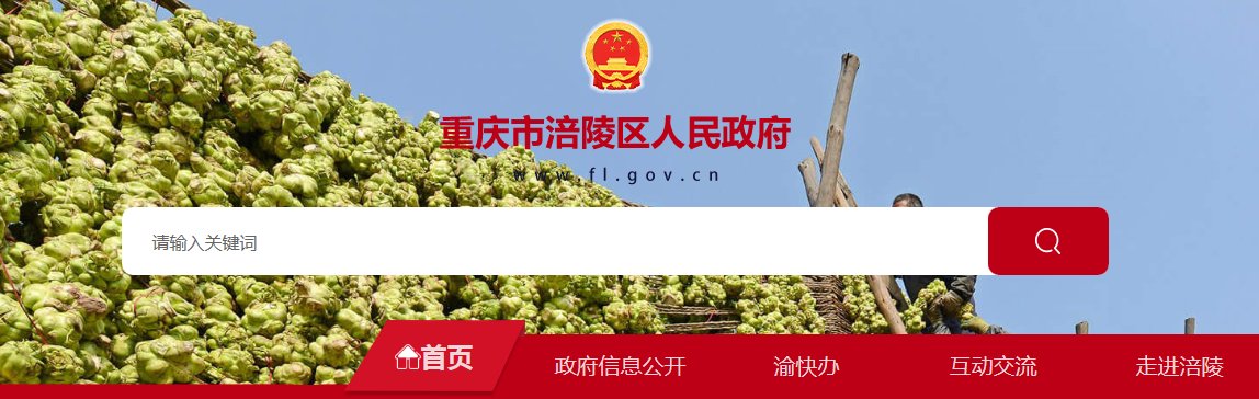 2021年重庆江津小升初成绩查询网站
