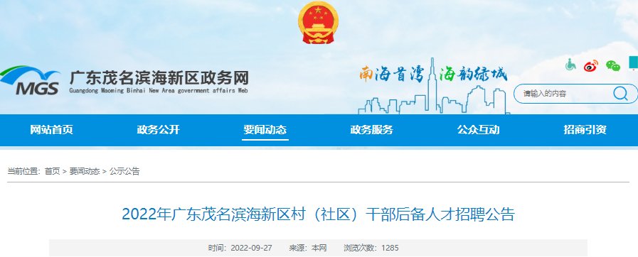 2022年安徽安庆市桐城市嬉子湖镇选