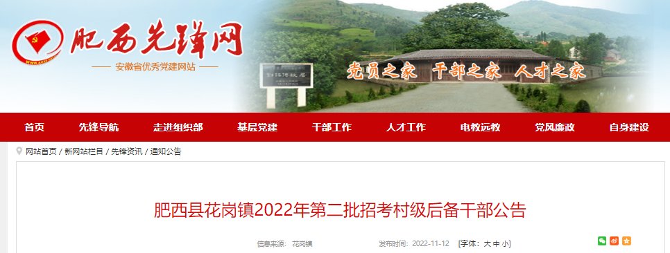 2023年安徽滁州天长市永丰镇村级后