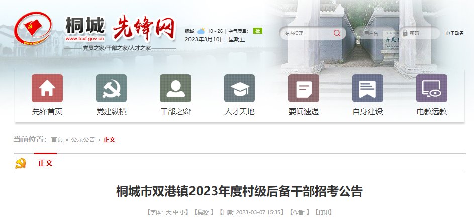 2023年安徽芜湖无为市牛埠镇选拔村