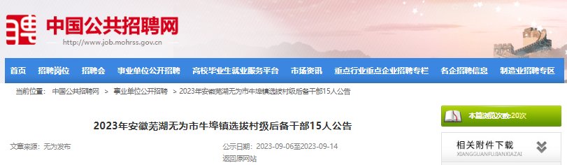2024年湖北武汉市选聘生专项选聘公告