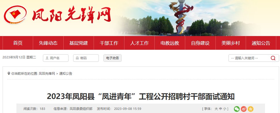 2024年湖北武汉选聘生面试时间
