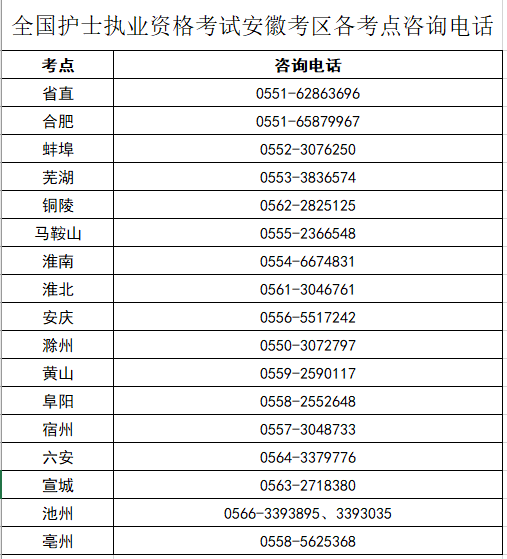 2024年安徽护士执业资格考试费用