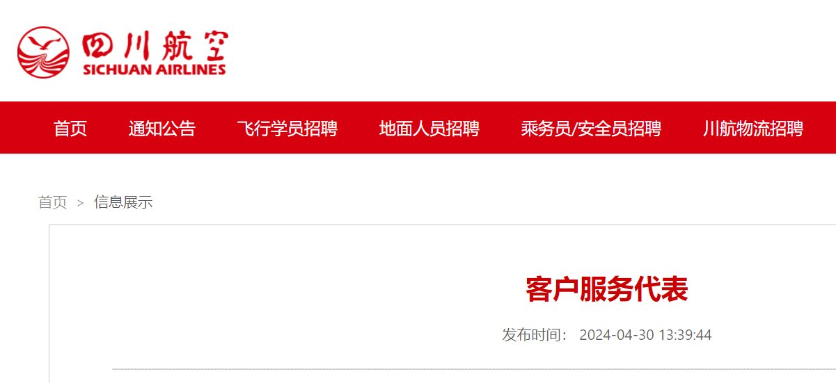 2024四川航空成熟客舱乘务员雅博a