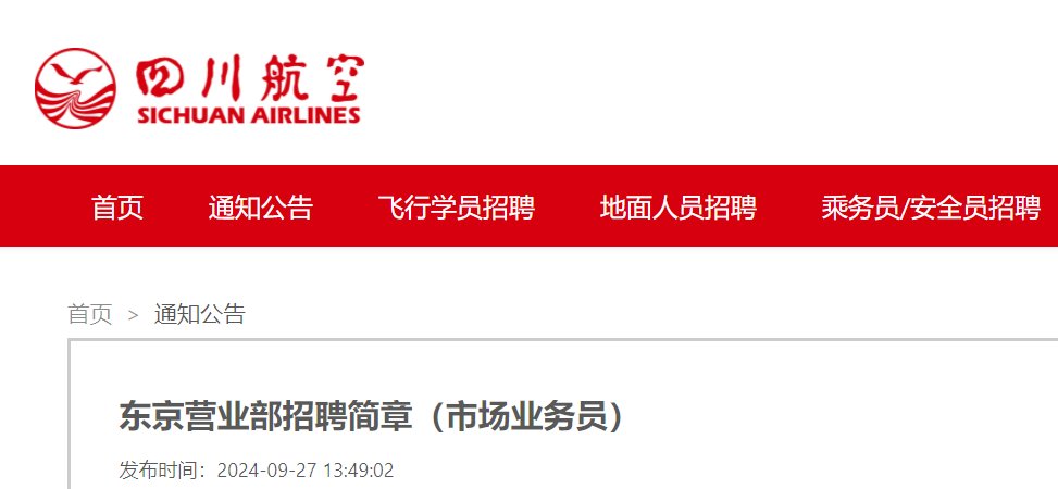 2024四川航空成熟客舱乘务员雅博a