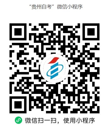 贵州2024年下半年高等雅博app下