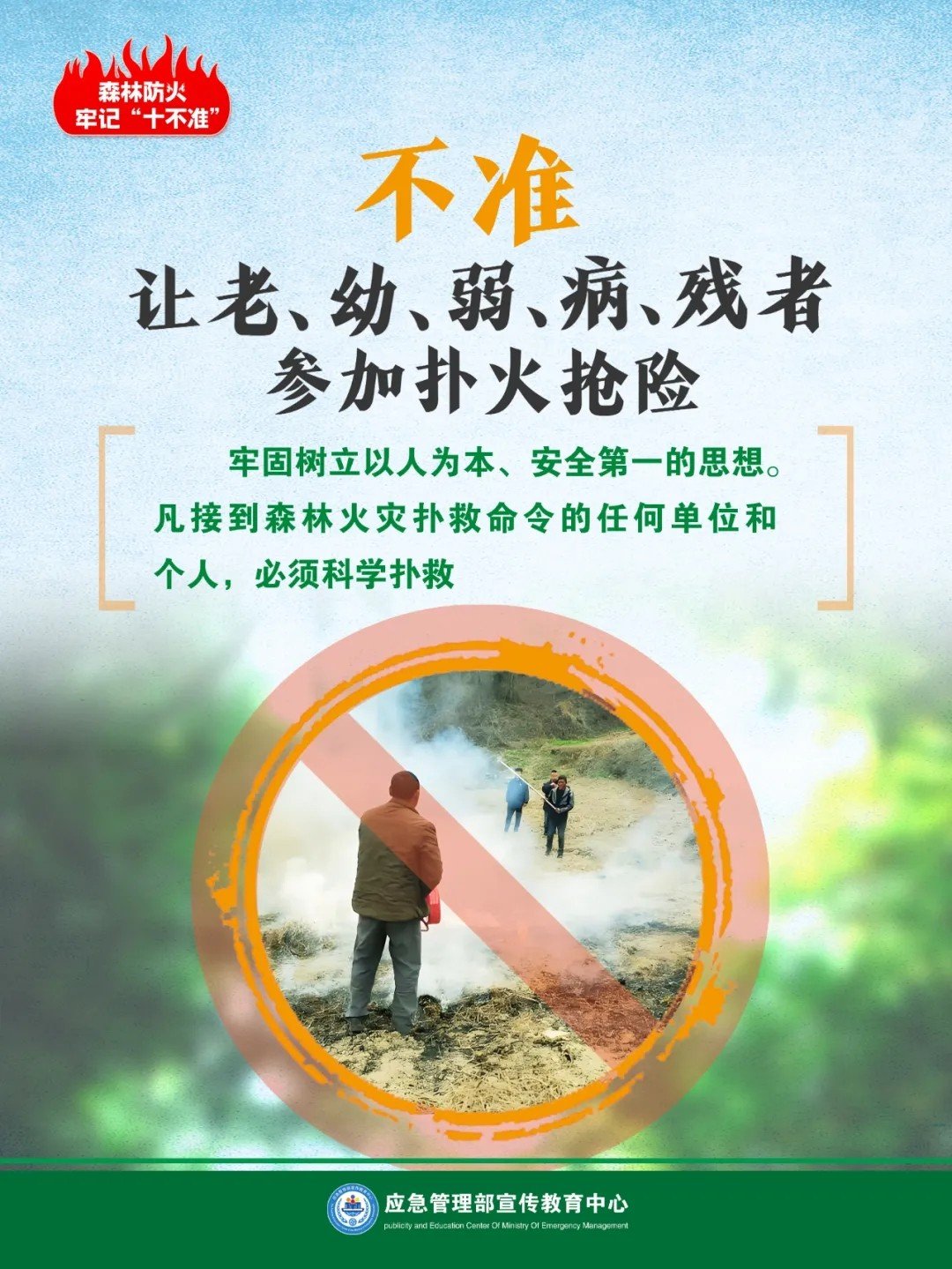 100.webp.jpg 2.森林火灾如何防?