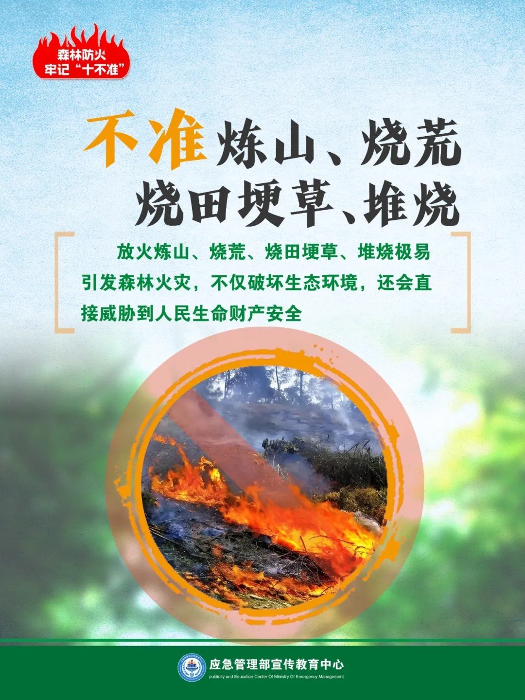 66.webp.jpg 雅博app官网登录入口最新版下载