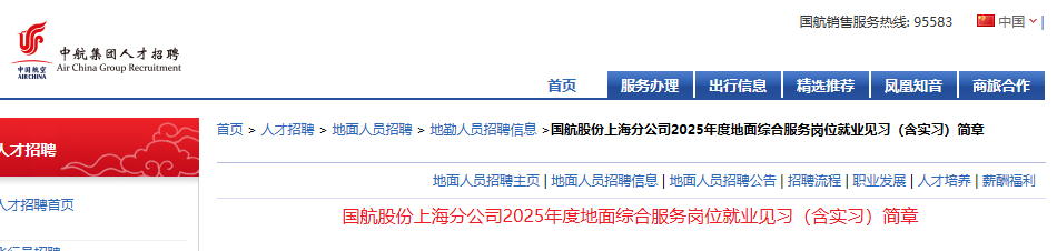 中国国际航空股份有限雅博app下载入