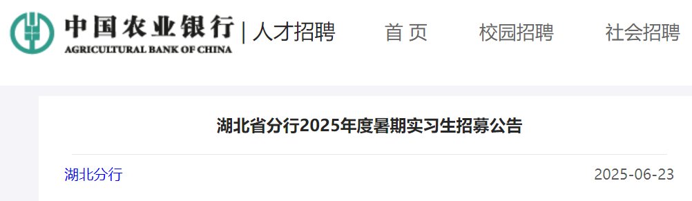 2025年湖北银行总行部室社会雅博a