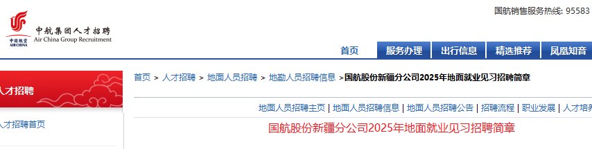 中国国际航空股份有限雅博app下载入