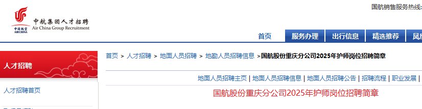 中国国际航空股份有限雅博app下载入