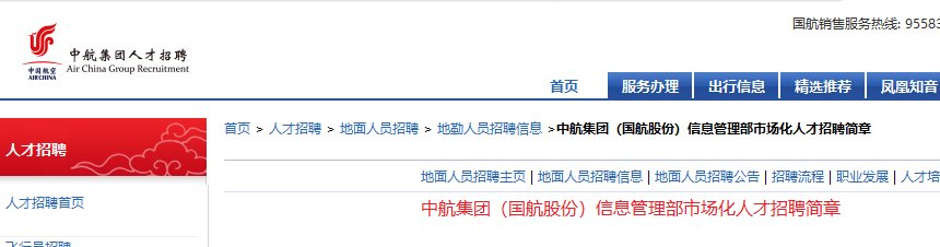 中国国际航空股份有限雅博app下载入