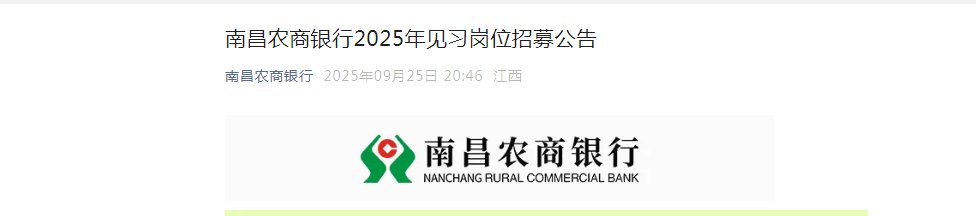 [上海]2025年上海松江富明村镇银