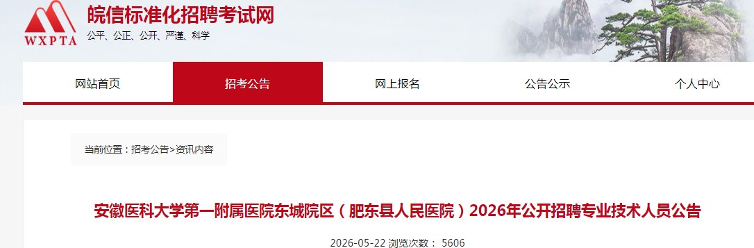 2026年安徽铜陵市中医医院公开雅博