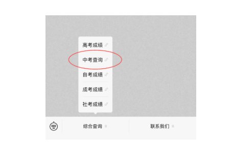 雅博app官网登录入口