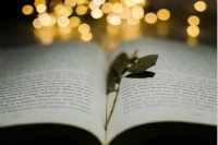 重庆 · 中级经济师考试答案 · 贵