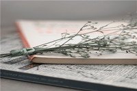 英国留学六个基本文化常识介绍
