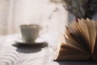 二年级寒假日记大全100字
