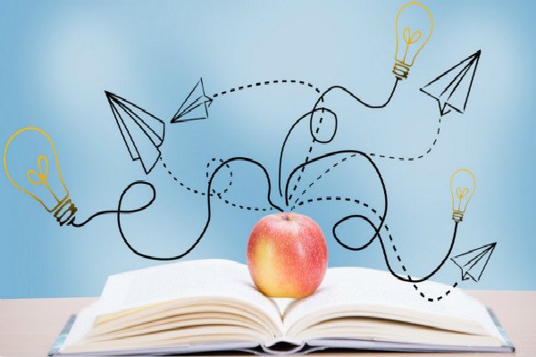 暑假周记500字小学10篇