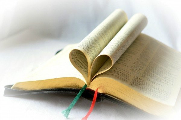 本站按公开材料组织页面