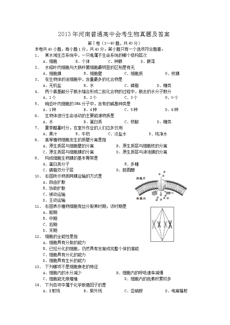 2008年北京普通高中会考生物真题及